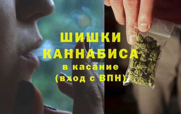 винт Алзамай