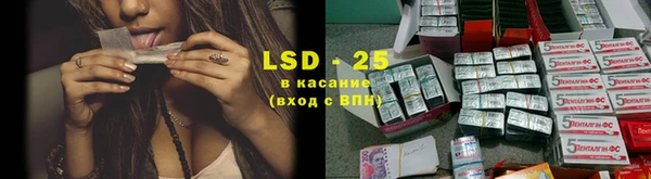 винт Алзамай
