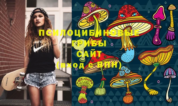 амфетамин Алексеевка