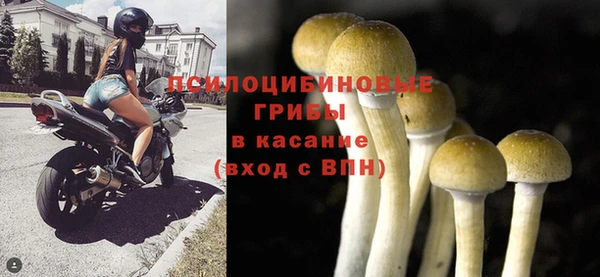 амфетамин Алексеевка