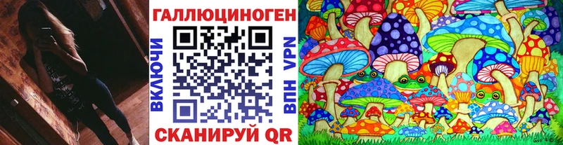 площадка официальный сайт  где найти   Чадан  Псилоцибиновые грибы Psilocybine cubensis 