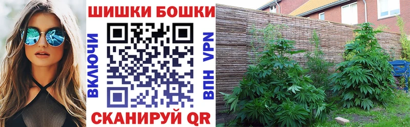 это клад  Чадан  Бошки Шишки SATIVA & INDICA 